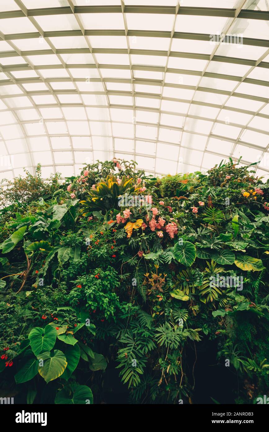 The cloud forest dome at the gardens by the bay in Singapore Stock Photo