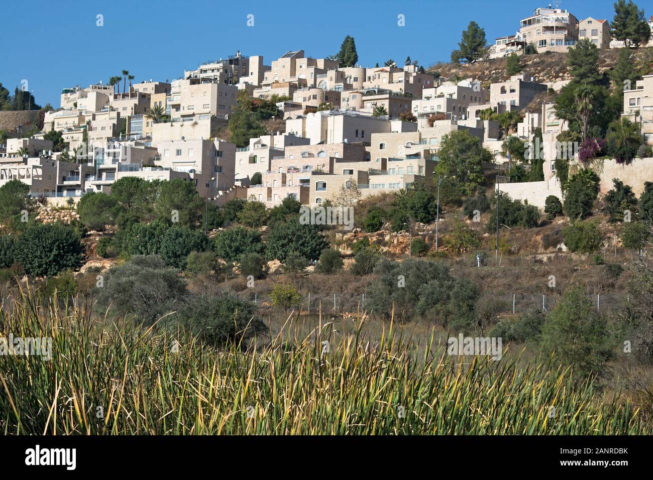 West Jerusalem neighborhood built on a hill overlooking Gazelle Valley, an urban nature reserve in Israel Stock Photo