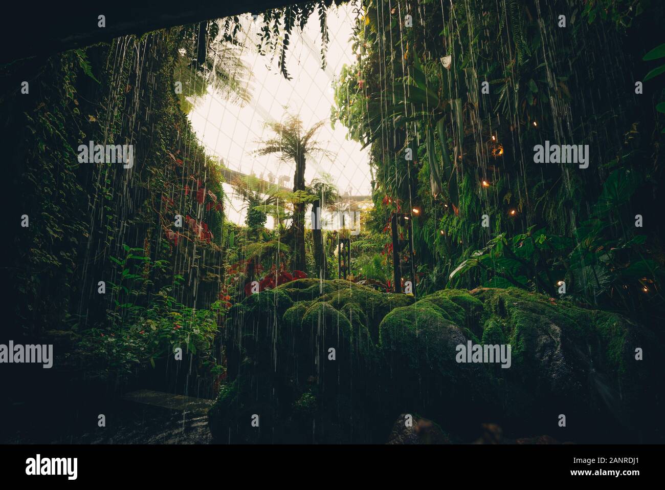 The cloud forest dome at the gardens by the bay in Singapore Stock Photo