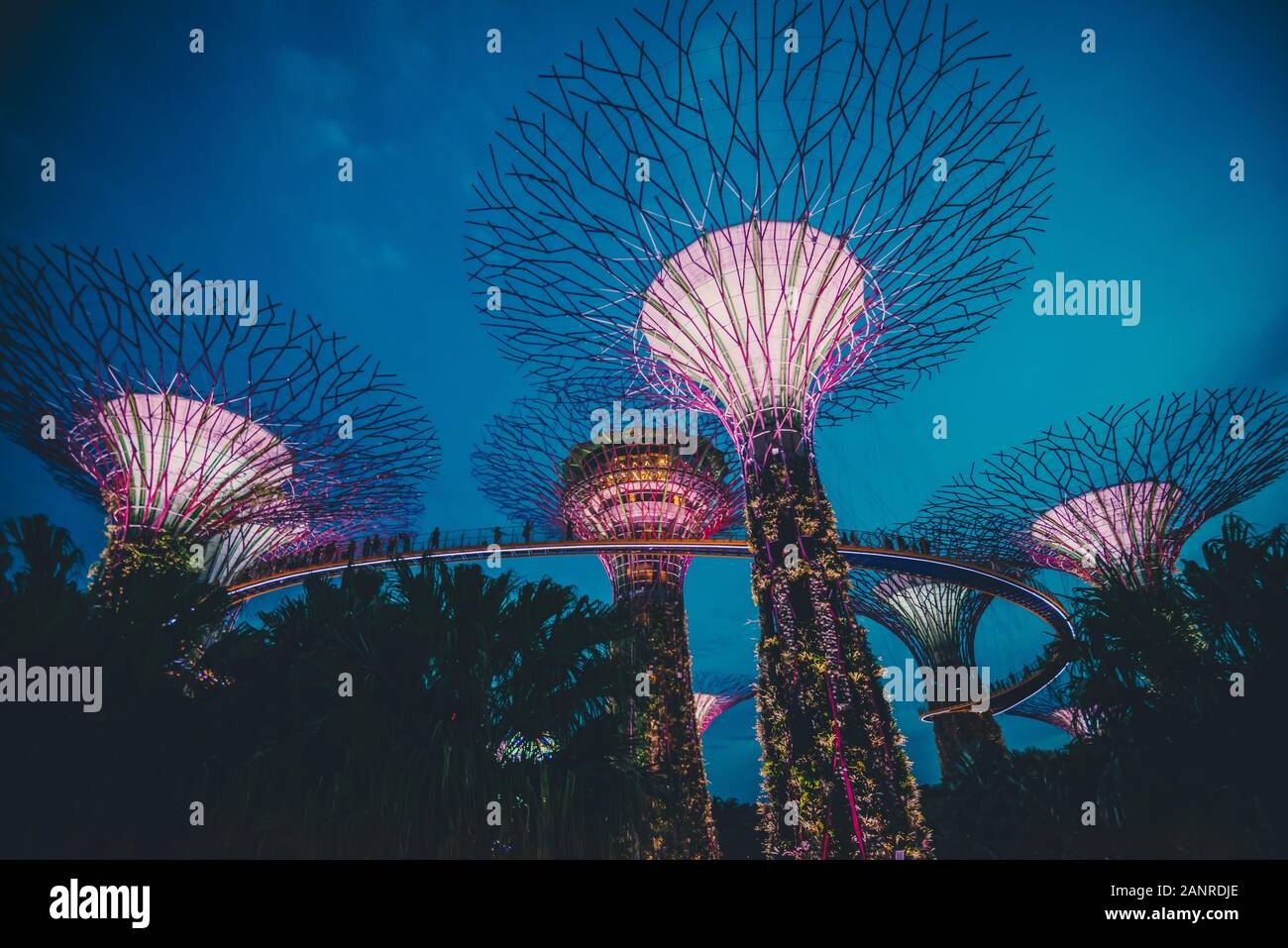The super trees at the Gardens by the bay attraction in Singapore Stock Photo