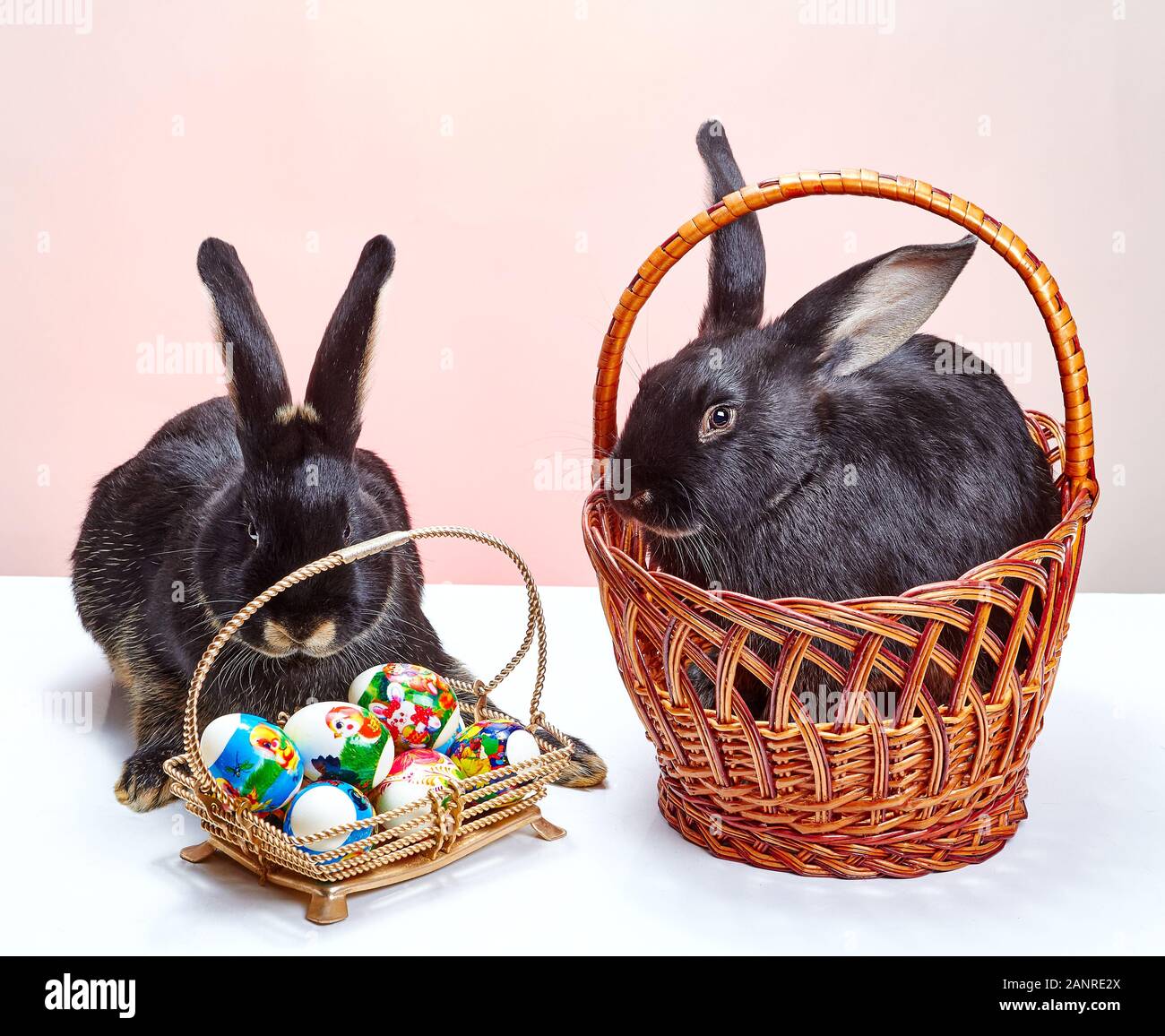 Easter eggs and two beautiful black bunnies Stock Photo - Alamy