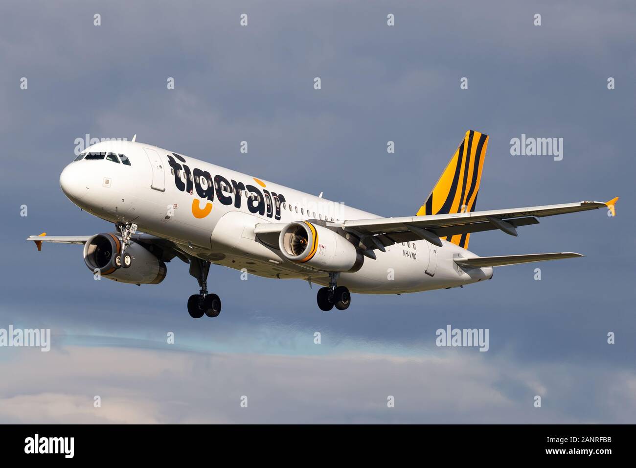 Automatisk Gylden Direkte Airbus A230-232 airliner operated by Australian low cost Airline Tigerair  on approach to land at Melbourne Airport Stock Photo - Alamy