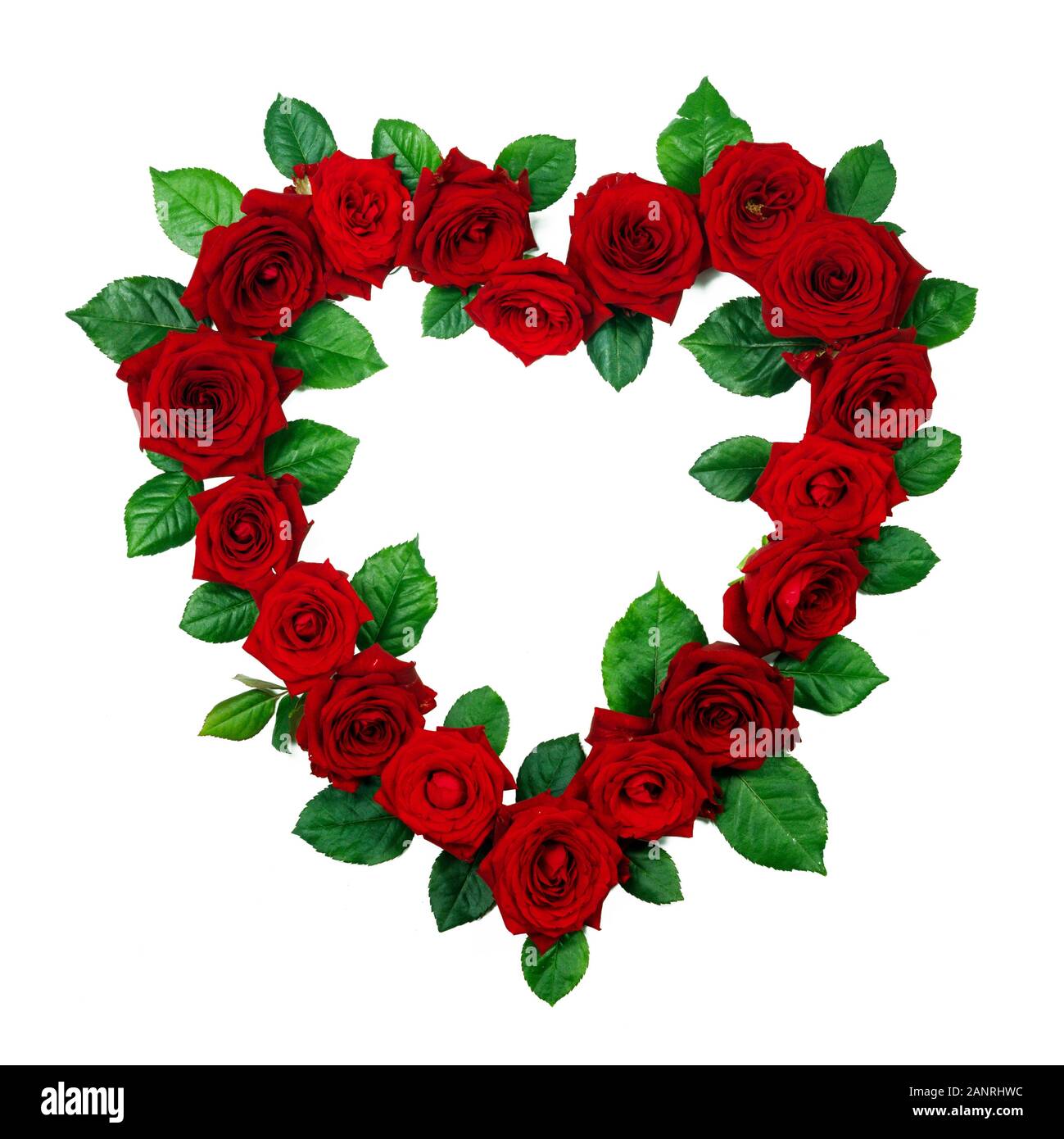 Red roses border frame in heart shape isolated on white background ...