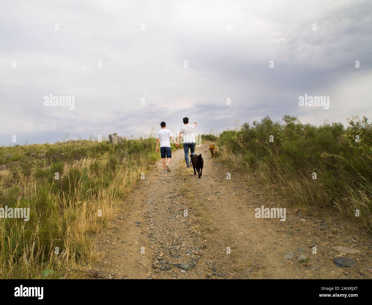 Young homosexual couple walking by the hand with two dogs, Tandil, Buenos Aires, Argentina. Stock Photo