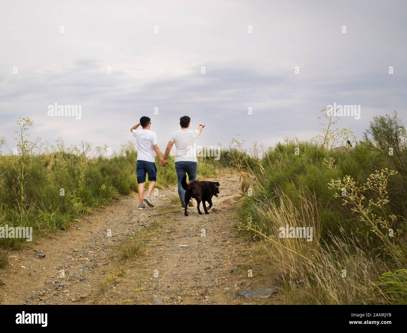 Young homosexual couple walking by the hand with two dogs, Tandil, Buenos Aires, Argentina. Stock Photo