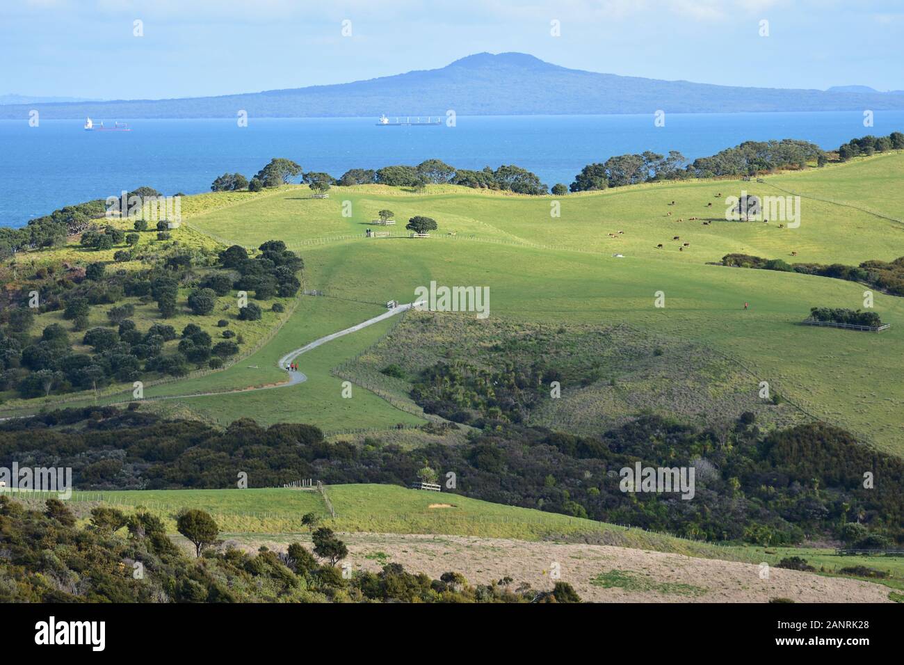 Farmland of Whangaparaoa Peninsula with some traffic between Rangitoto volcano island and mainland in Hauraki Gulf. Stock Photo