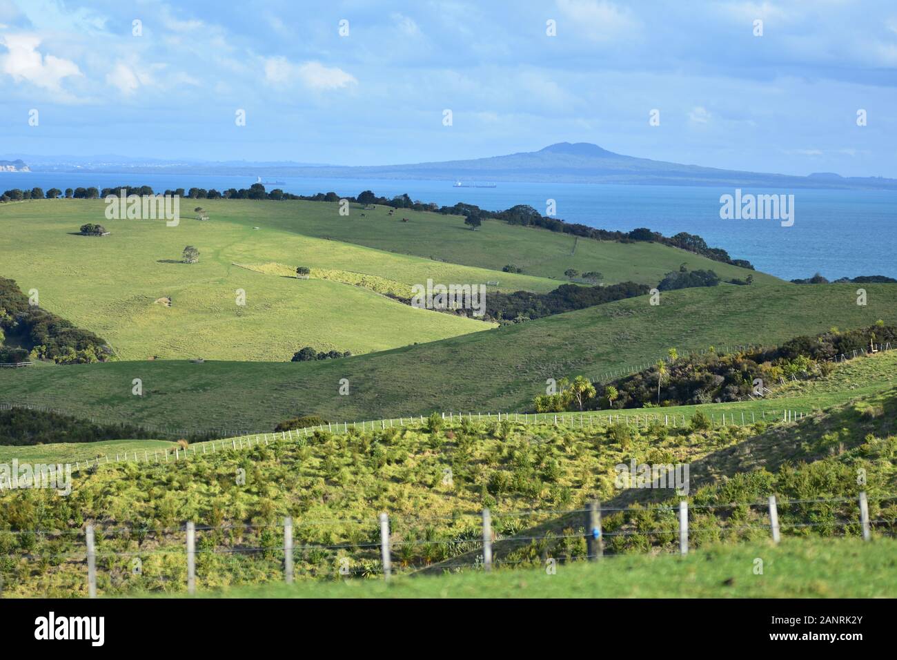 Farmland of Whangaparaoa Peninsula with Hauraki Gulf and Rangitoto volcano island in background. Stock Photo