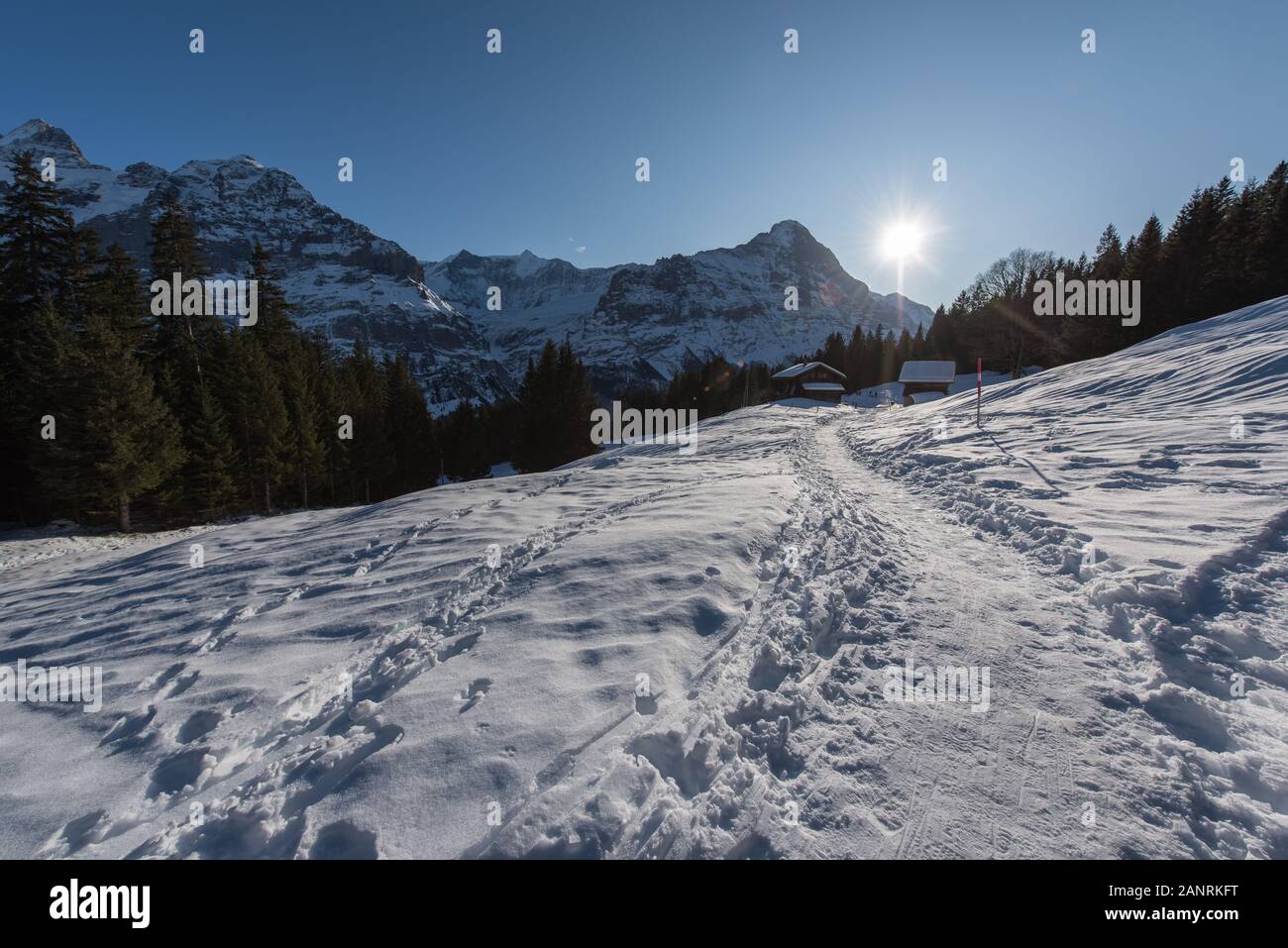 Landscape in the Swiss Alps in winter near Grindelwald Stock Photo - Alamy