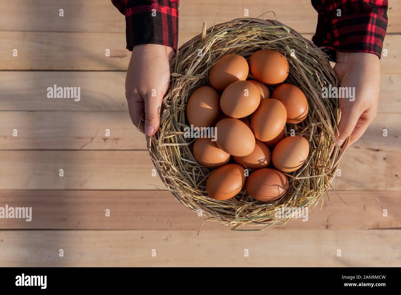 Women wear red striped shirts, put fresh eggs in a rattan baskets placed on wooden floor. Stock Photo