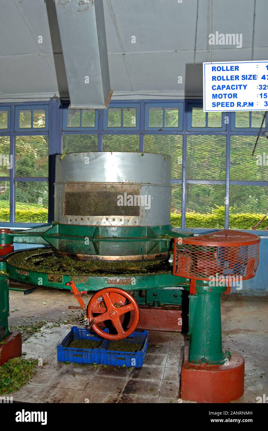 Machine in the tea factory . Nuwara Eliya, Sri Lanka Stock Photo - Alamy