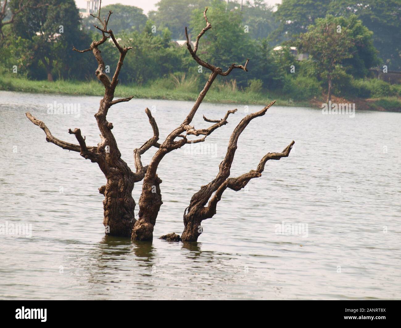 Clamities hires stock photography and images Alamy