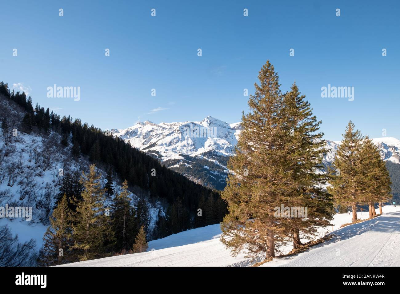 Snow in the mountains on a sunny winter's day, photographed between ...