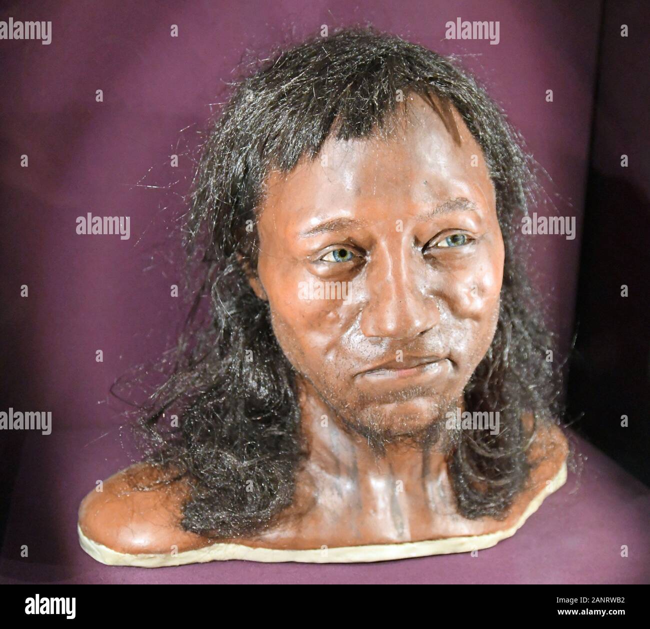 Face of Cheddar Man Revealed  Made at UCL - UCL – University College London