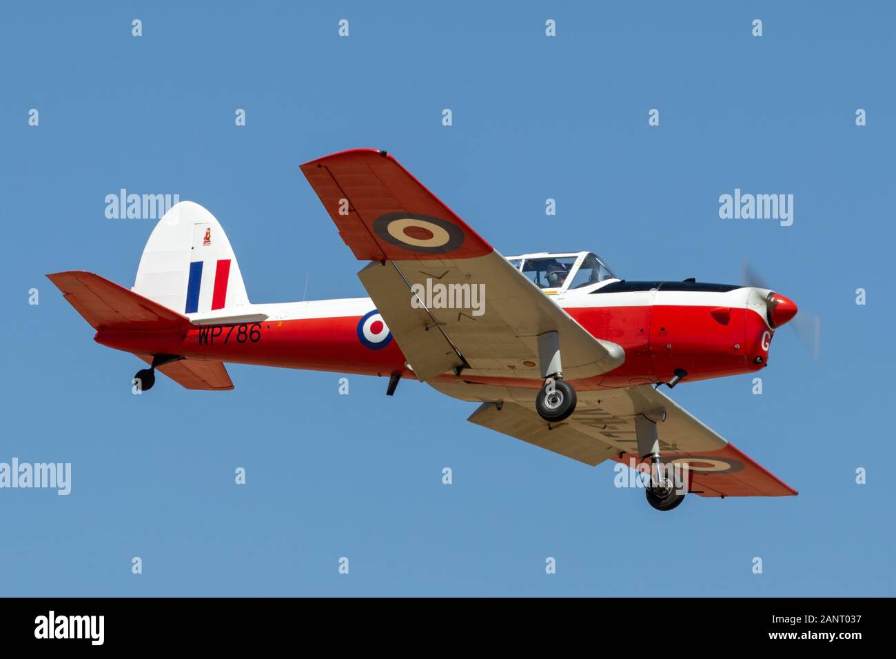De Havilland Canada DHC-1 T Chipmunk training aircraft formerly used by the Royal Air Force (RAF) to train military pilots. Stock Photo