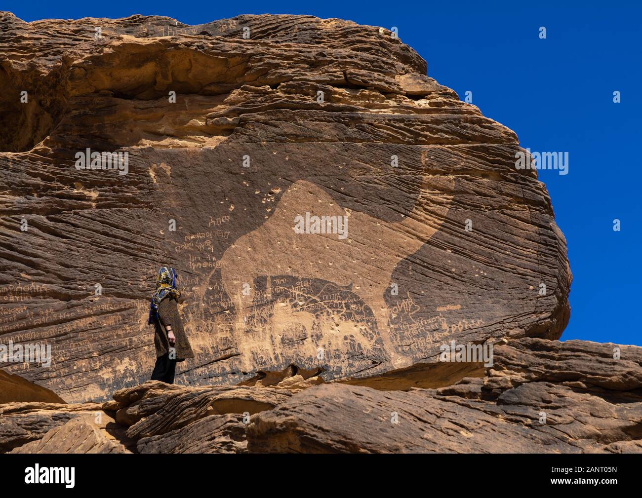 Tourist standing in front of a life-sized camel petroglyph on a rock, Najran Province, Thar, Saudi Arabia Stock Photo