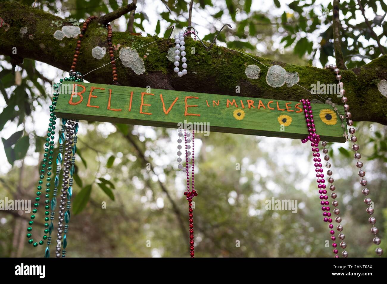 Cassadaga, Fla/USA - Dec 30, 2019: Brimming with colorful fairy wings, gnomes, flowers, and fairy dust, the hidden Fairy Trail of  Horseshoe Park, is Stock Photo