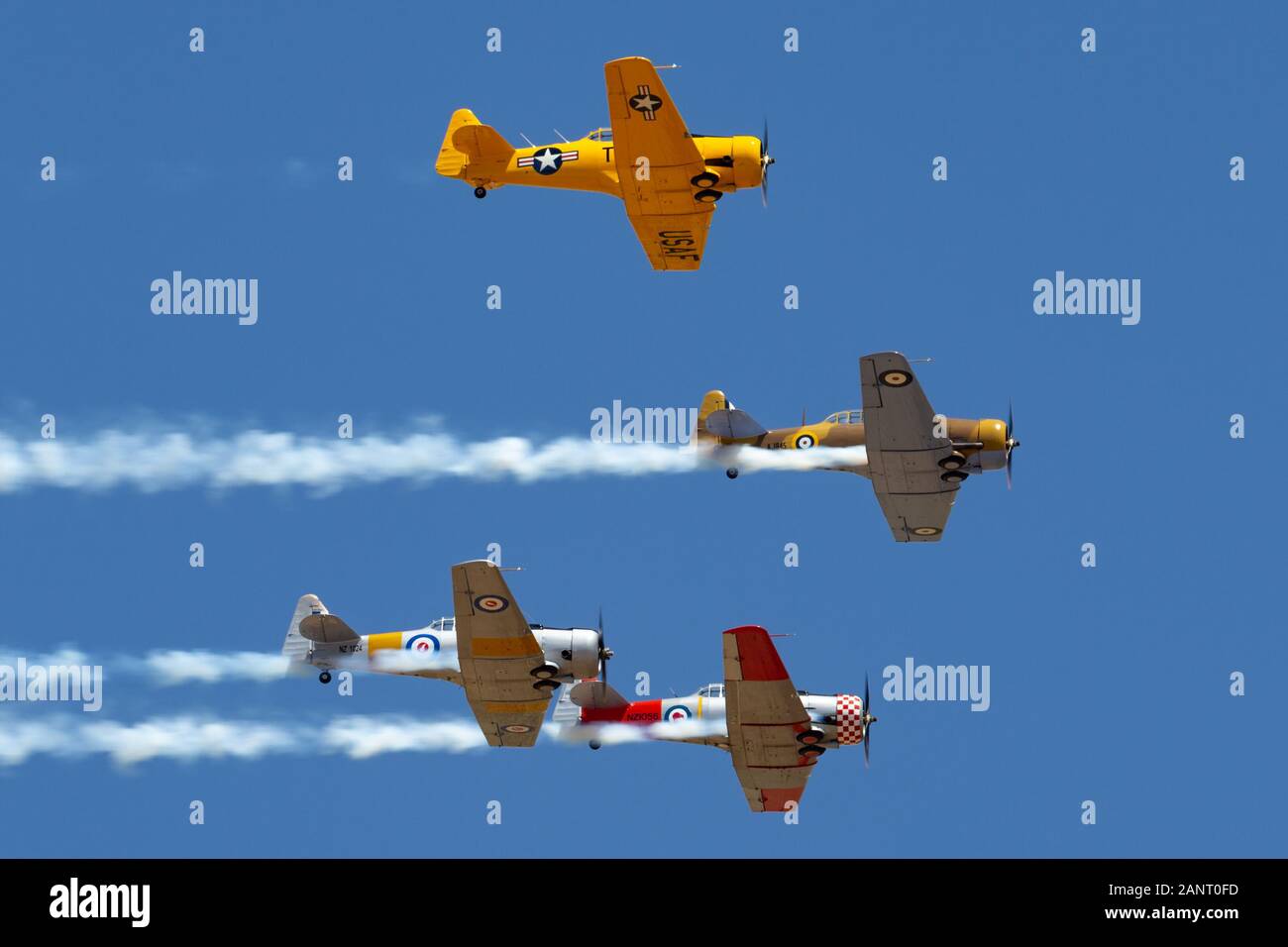 Four North American AT-6 Harvard single engine military training aircraft from World War II flying in formation. Stock Photo