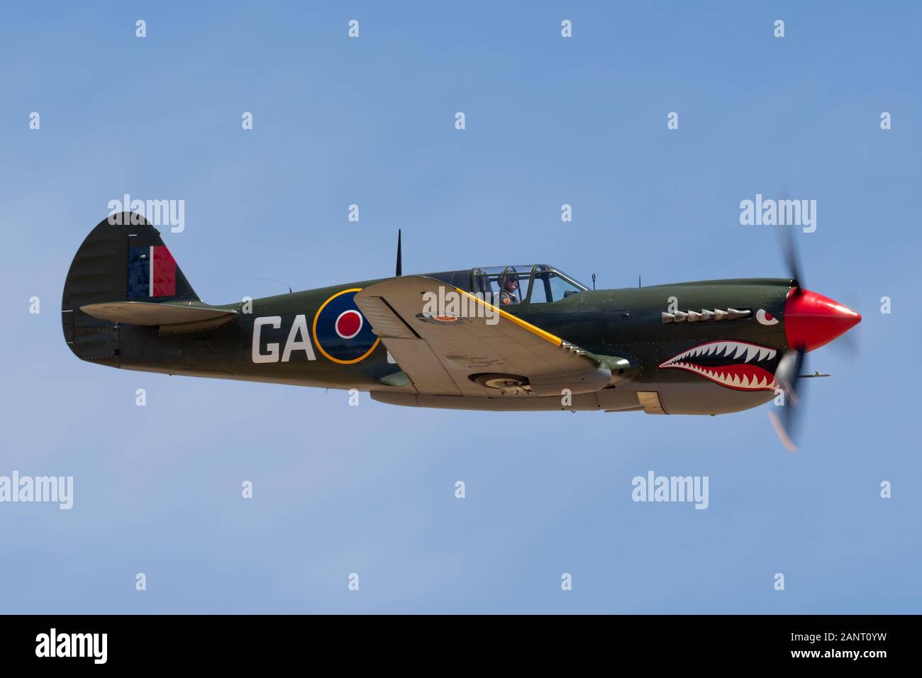 Curtiss P-40N Kittyhawk World War II fighter aircraft VH-ZOC flying against a blue sky. Stock Photo