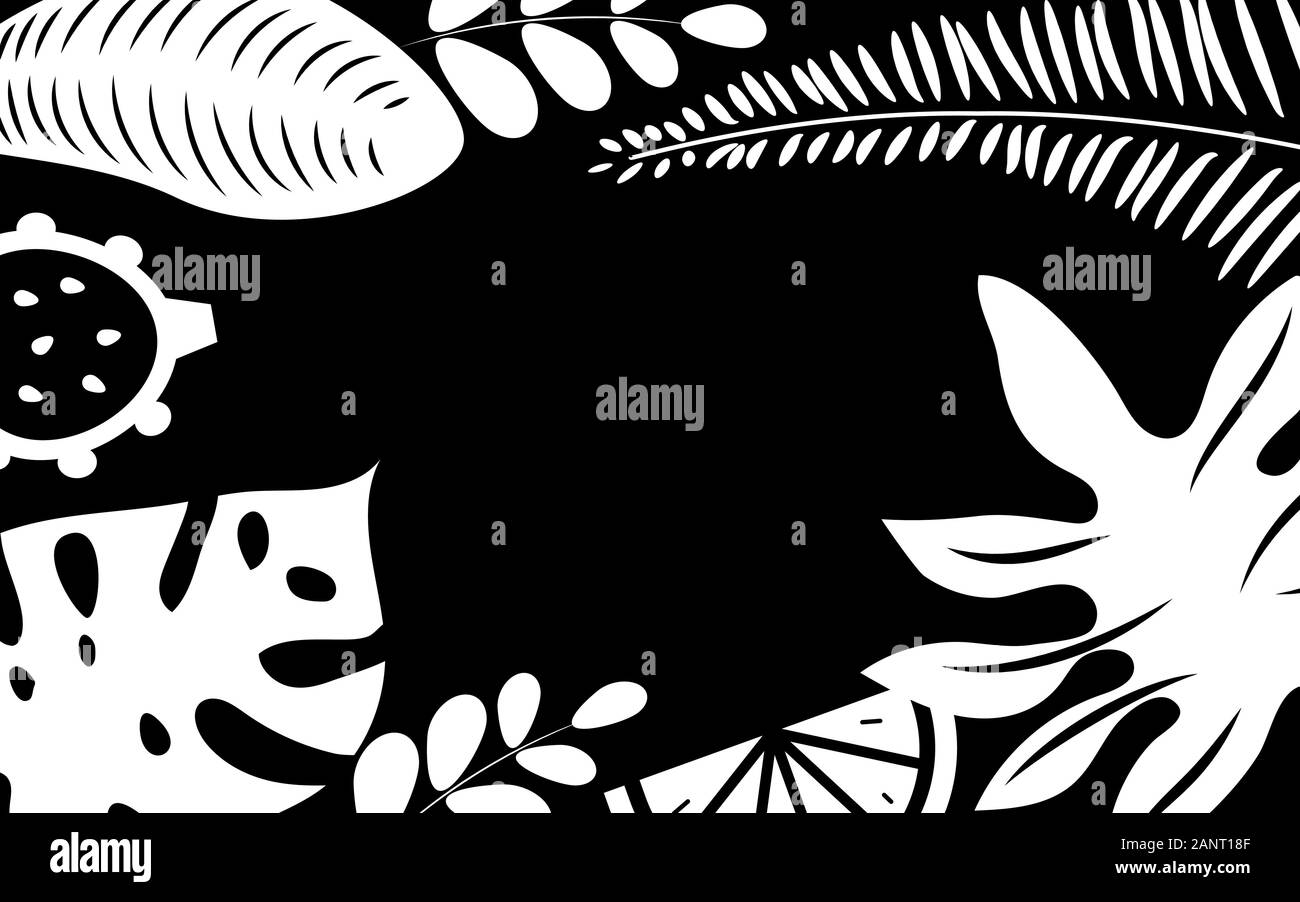 Palm Leaves Black And White Background Natural Frame Borders