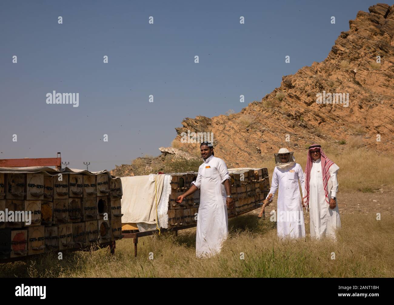 Saudi beekeepers working in the beehives, Jizan province, Addarb, Saudi Arabia Stock Photo