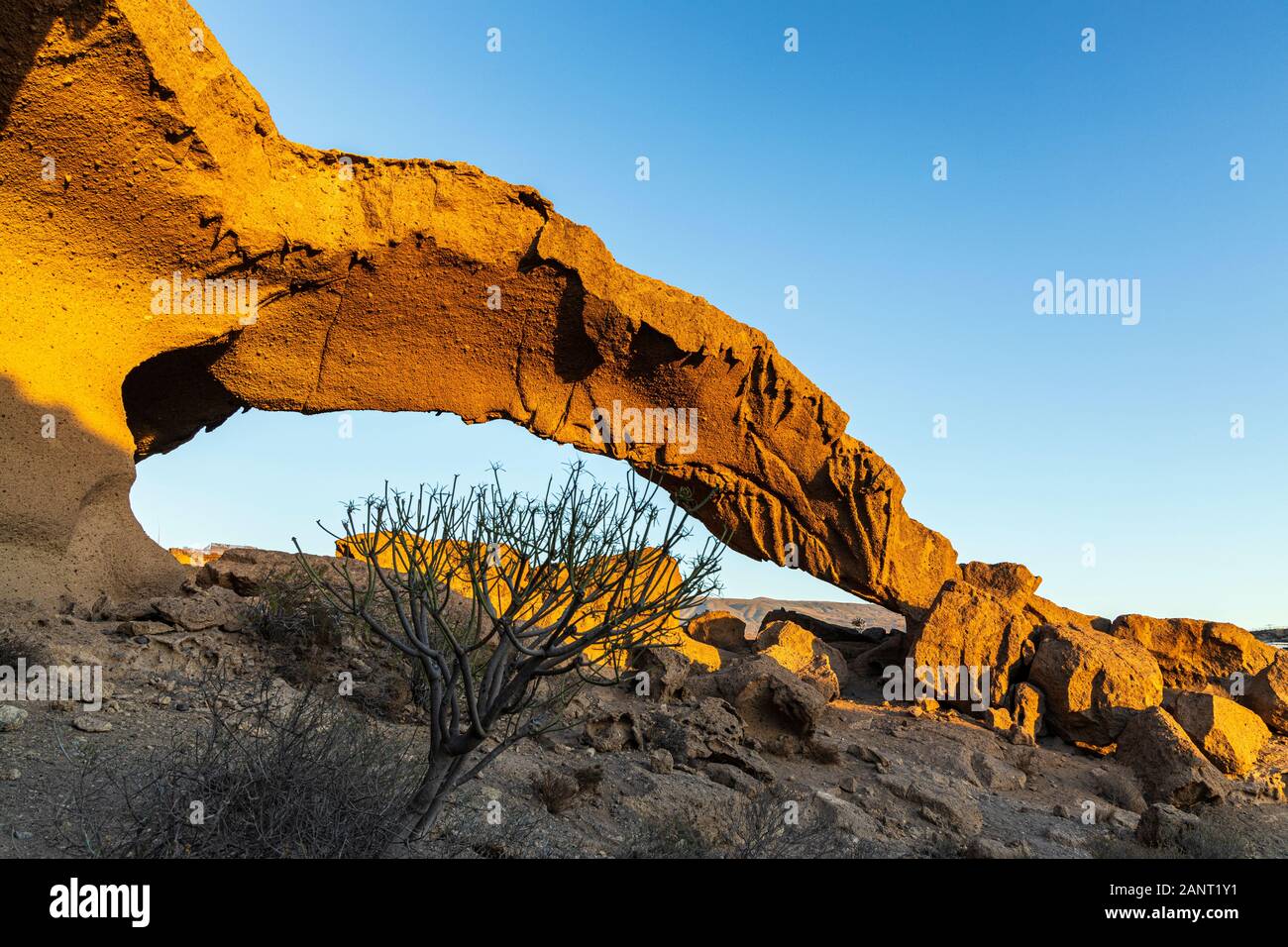 The arch of Tajao, remnants of a volcanic tube which has collapsed leaving behind a section forming this arch, San Miguel de Abona, Tenerife, Canary I Stock Photo