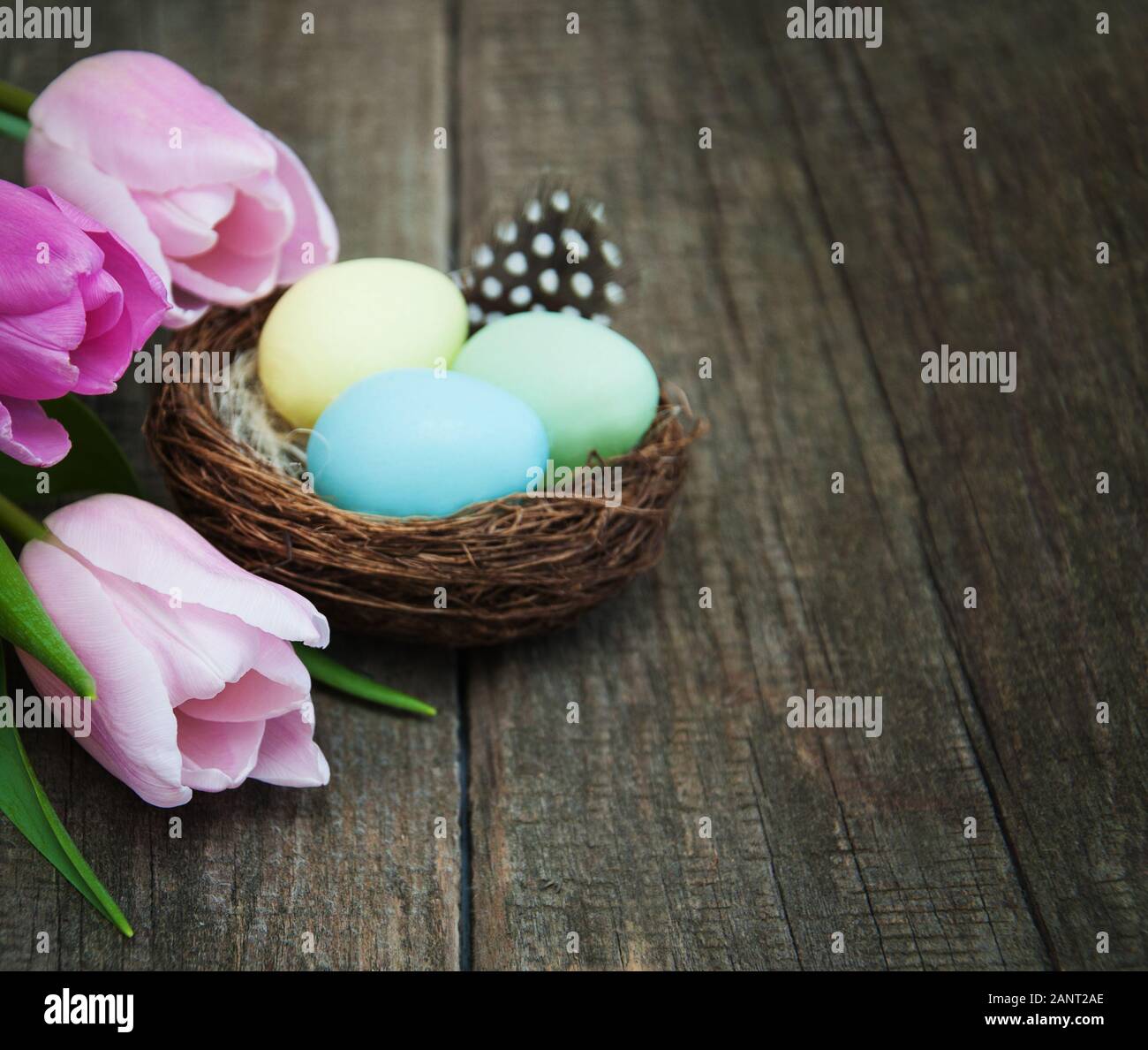 Easter eggs and tulips on a old wooden background Stock Photo - Alamy