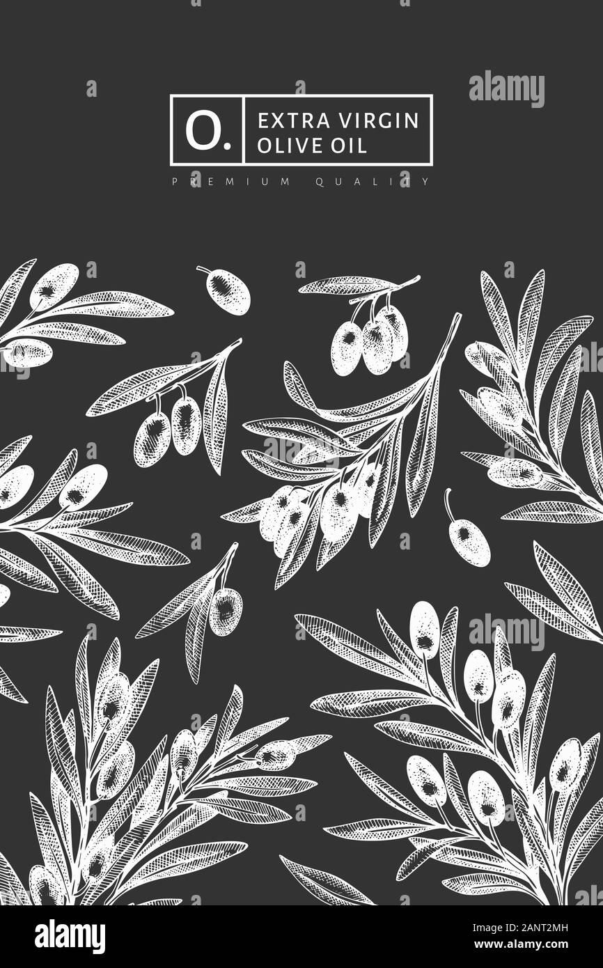 Olive branch design template. Hand drawn vector food illustration on ...