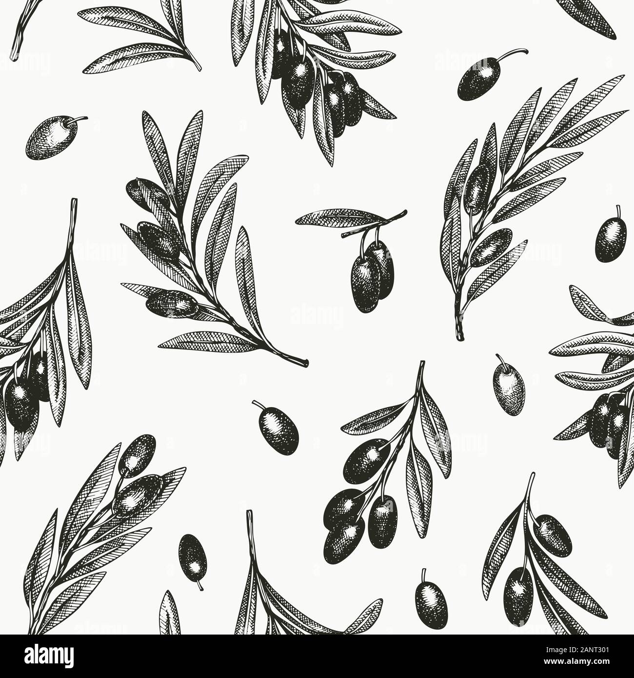 Olive branch seamless pattern. Hand drawn vector food illustration ...