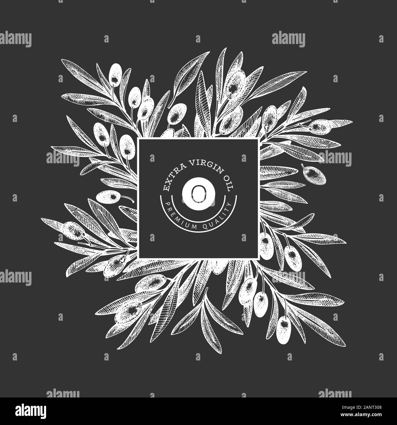 Olive branch design template. Hand drawn vector food illustration on ...