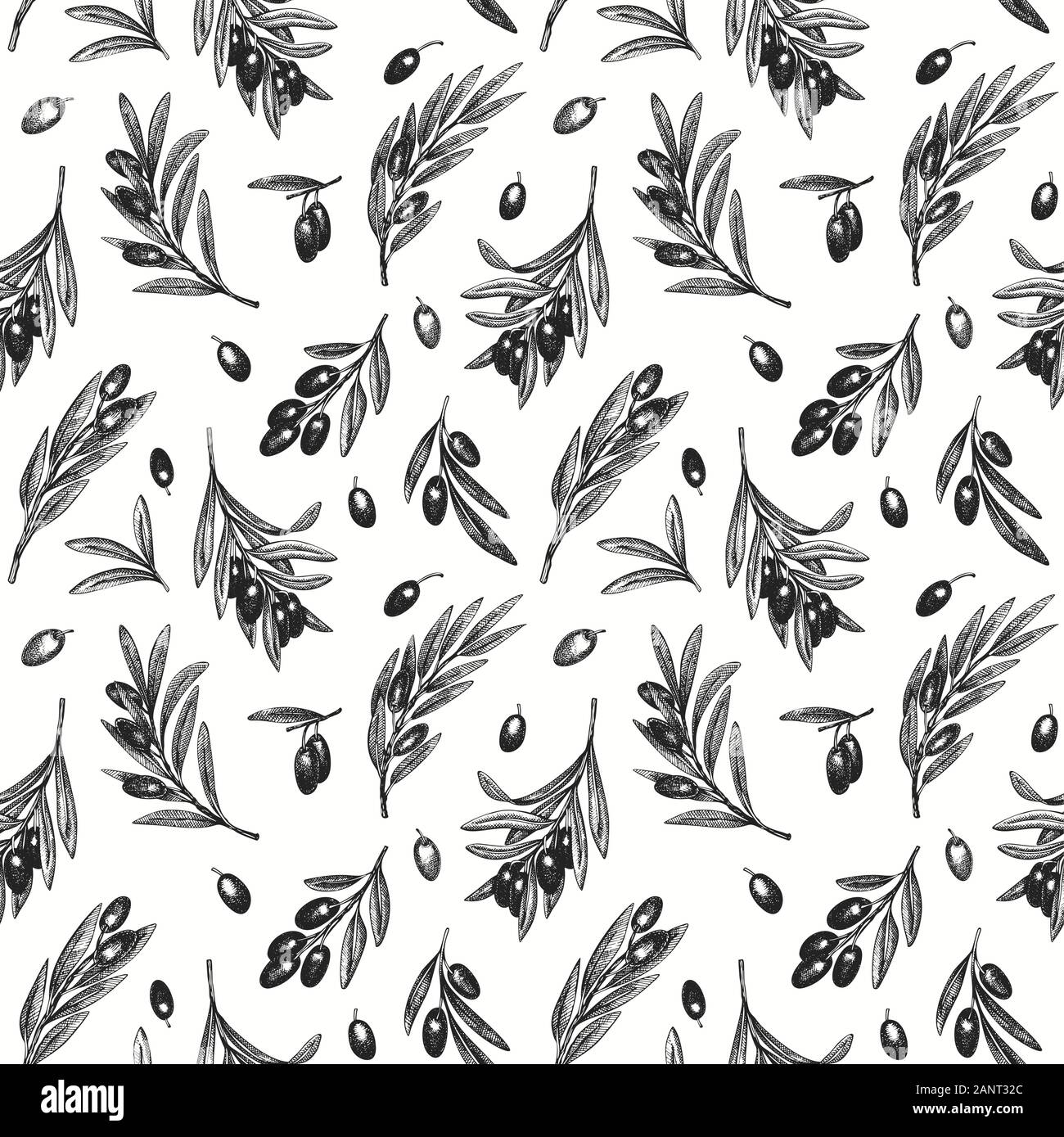 Olive branch seamless pattern. Hand drawn vector food illustration ...