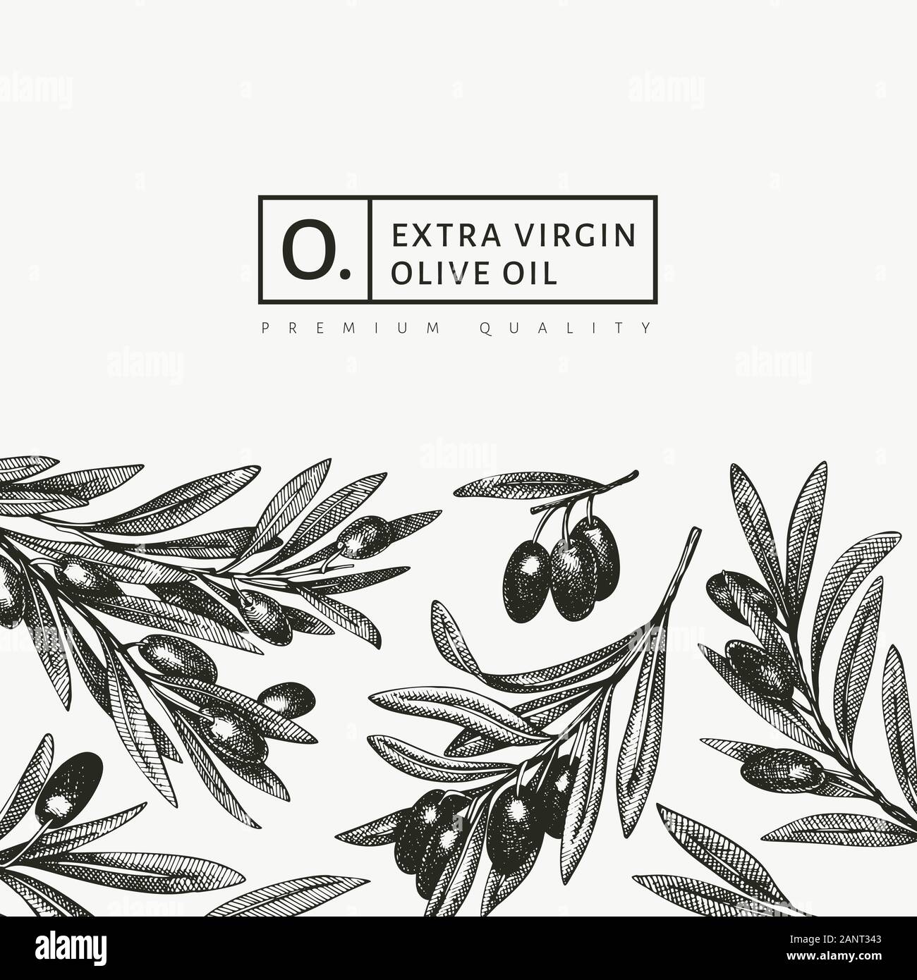 Olive branch design template. Hand drawn vector food illustration ...