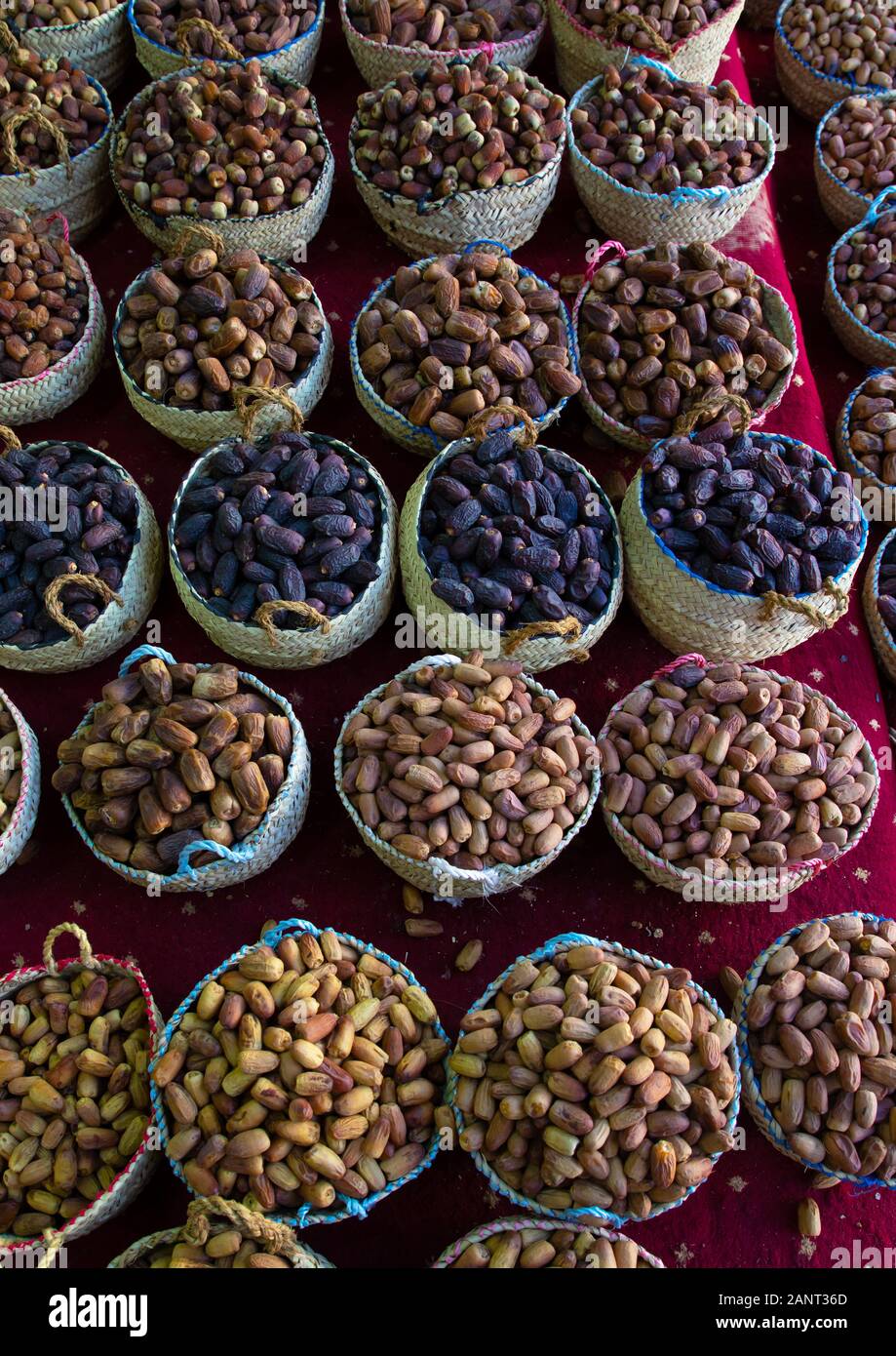 Sweet dates for sale in a shop, Najran Province, Najran, Saudi Arabia