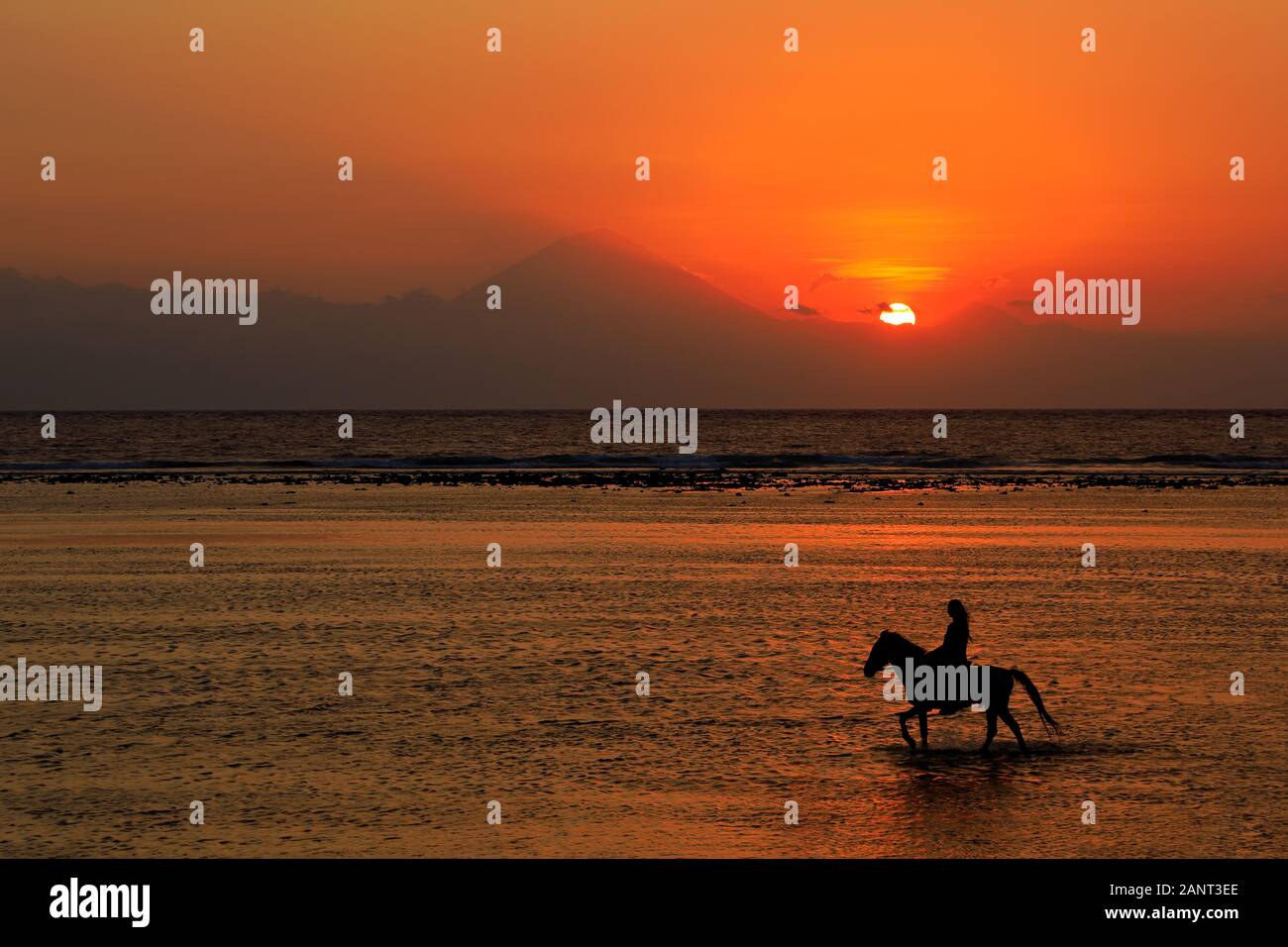 Silhouette of a horse and rider in shallow water on a scenic beach at sunset Stock Photo