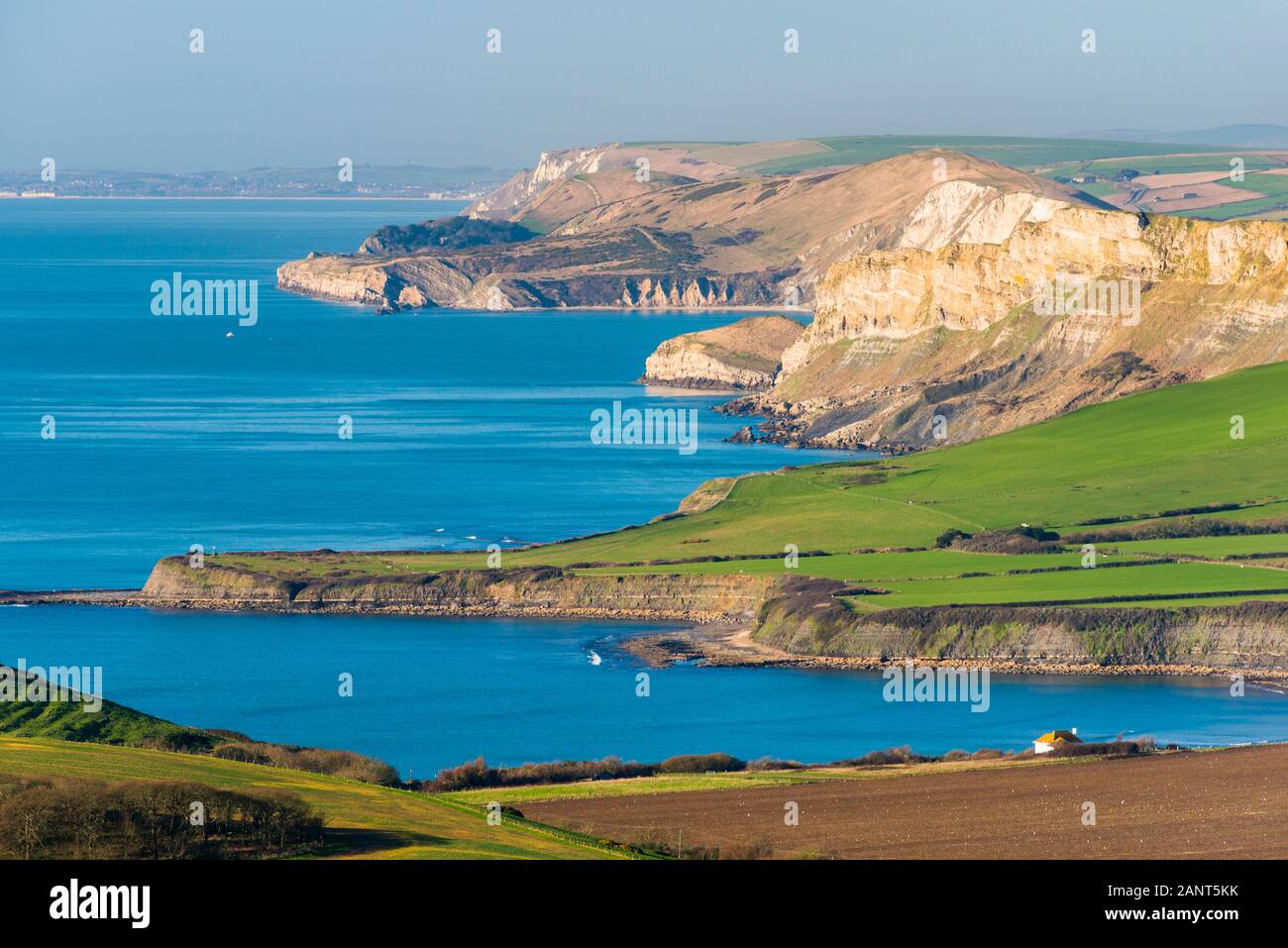 Swyre Head, Kingston, Dorset, UK.  19th January 2020. UK Weather. The view from Swyre Head near Kingston in Dorset looking west along the Jurassic Coast across Kimmeridge Bay and Warbarrow Bay.  Picture Credit: Graham Hunt/Alamy Live News Stock Photo