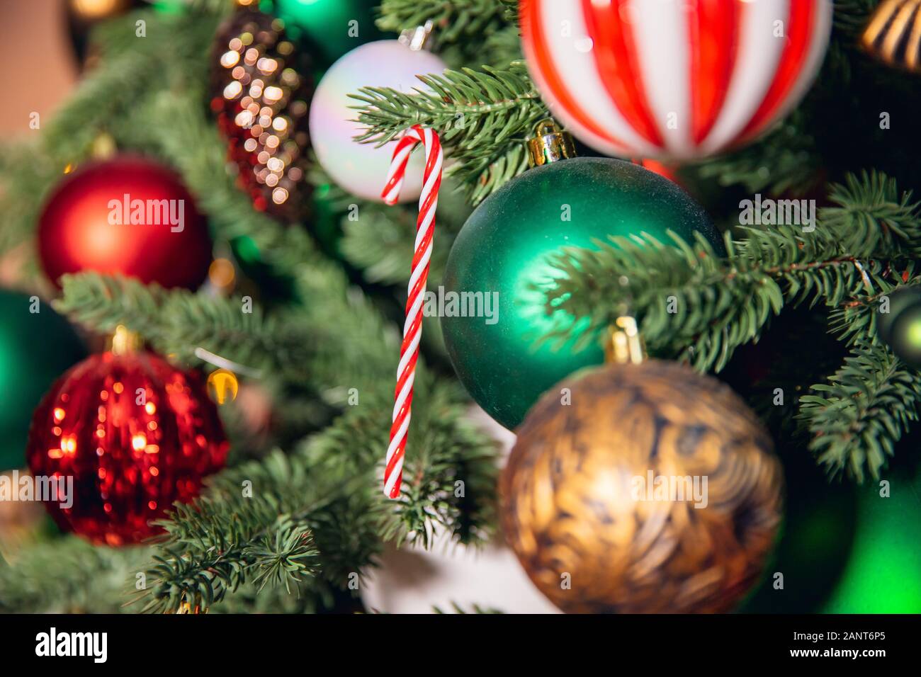 Christmas background tree branch with decorations candy lollipop cane ...