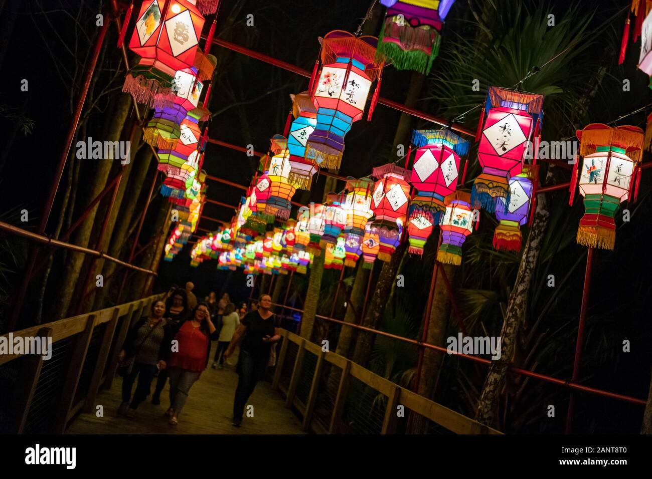 Sanford, Fla/USA - Dec 29, 2019: The Asian Lantern Festival, Into the Wild,  at the Central Florida Zoo & Botanical Gardens featured over 30 LED lanter  Stock Photo - Alamy