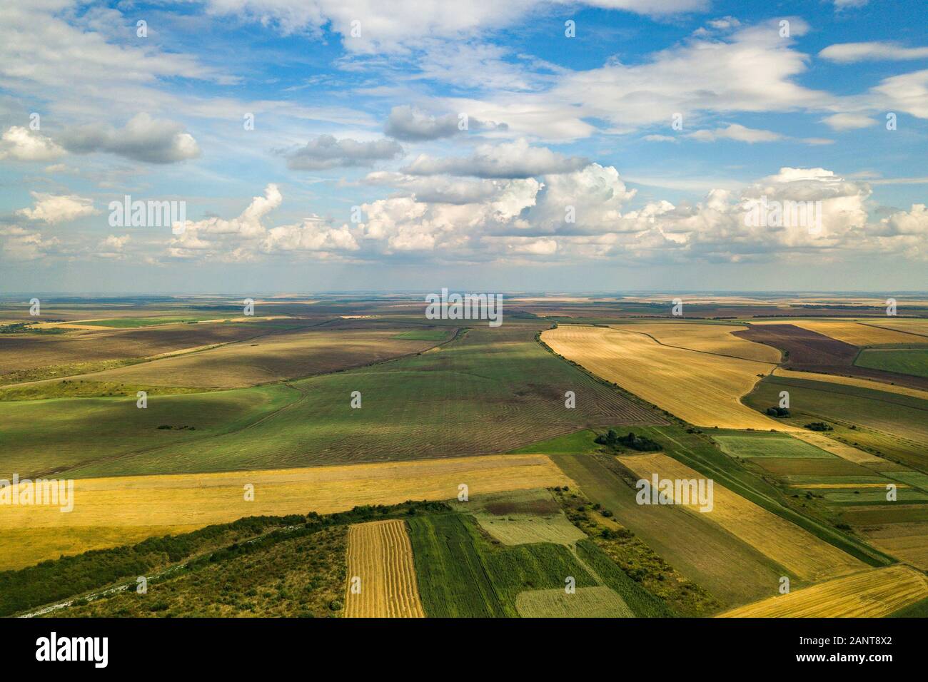 Aerial rural landscape with yellow patched agriculture fields and blue ...