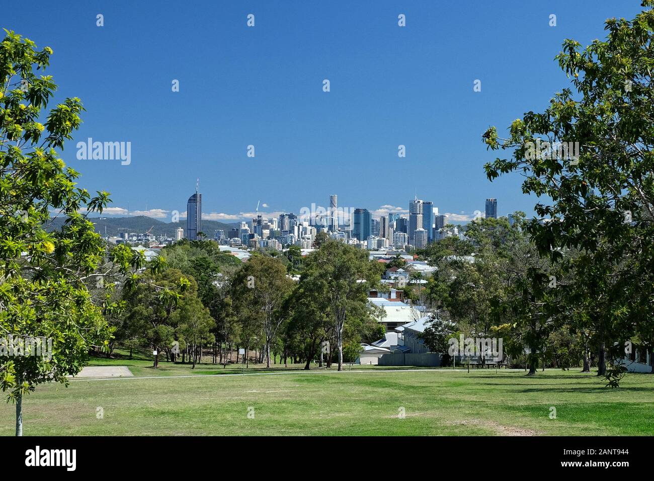 Brisbane city hi-rise and skyline framed by trees on a sunny day from green and grassy Perth Street Park, Norman Park Stock Photo