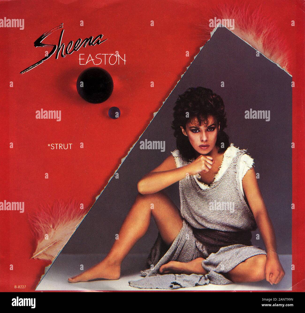 Sheena Easton - Strut - Classic vintage vinyl album Stock Photo