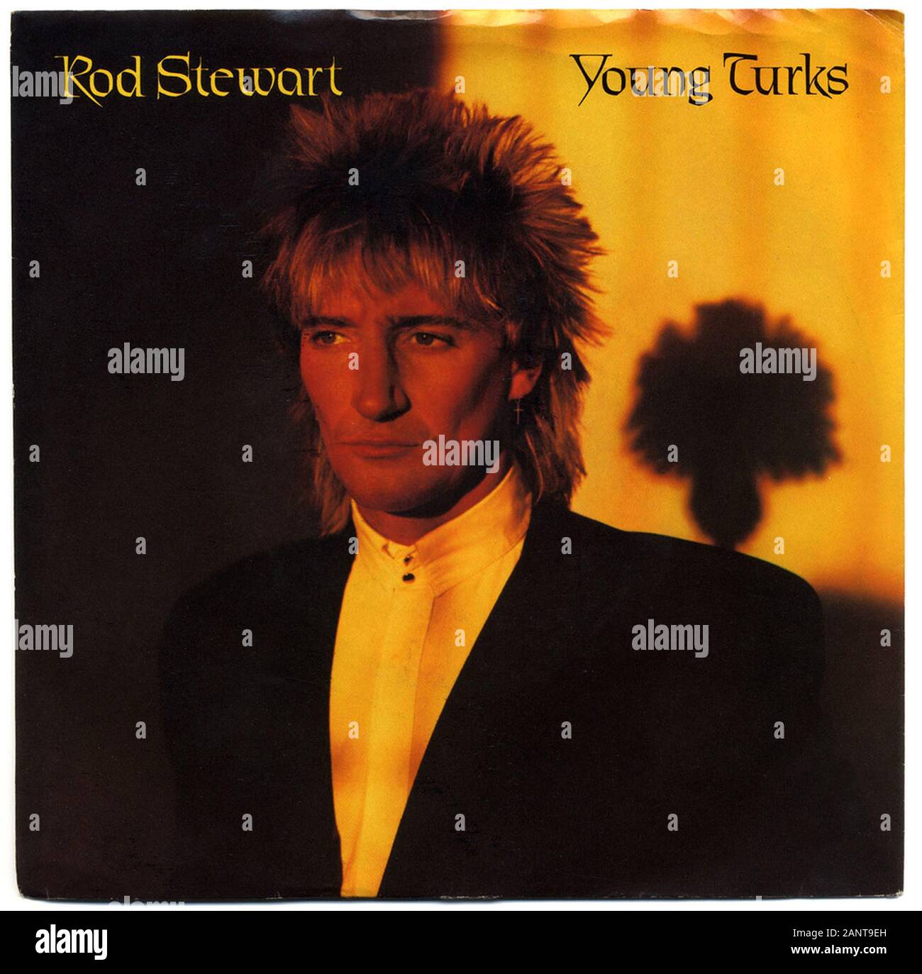 Rod Stewart - Young Turks - Classic vintage vinyl album Stock Photo