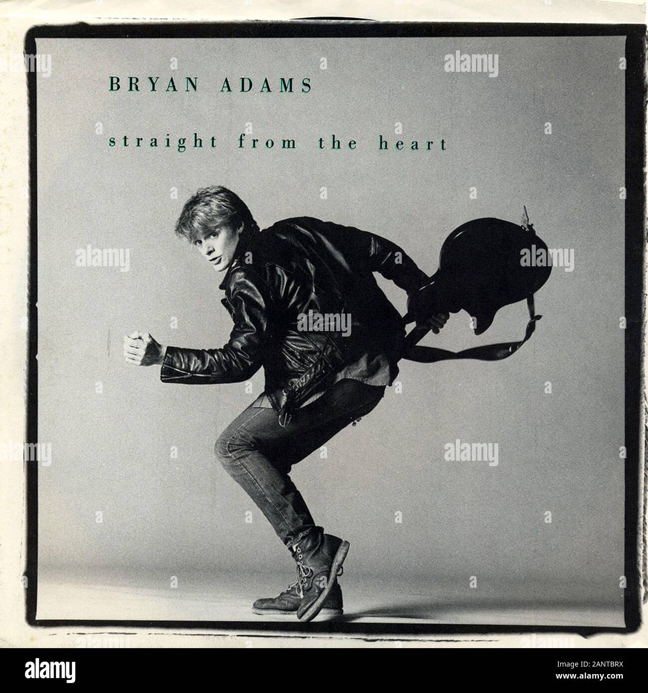 BRYAN ADAMS(サイン入り,新品LP,アナログ,ブライアン・アダムス