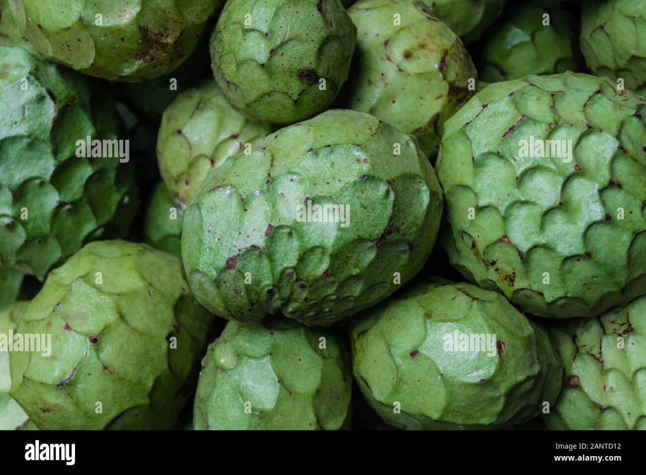 The sugarapple Annona Cherimoya on a farmers market Stock Photo Alamy