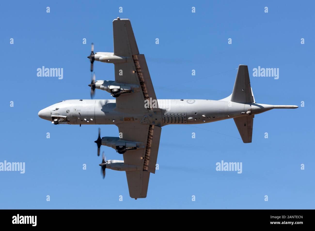 Royal Australian Air Force Raaf Lockheed Ap 3c Orion Maritime Patrol