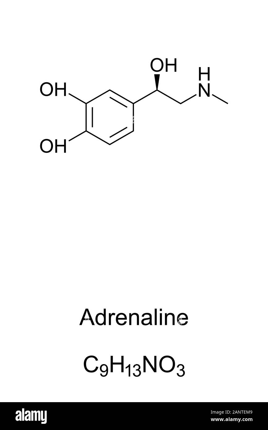 Adrenaline molecule, epinephrine skeletal formula. Structure of C9H13NO3. Hormone, medication and neurotransmitter. Stock Photo