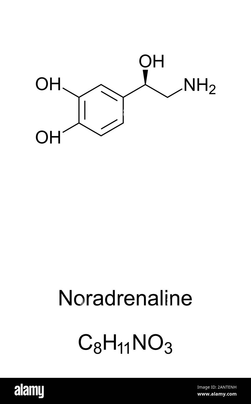 Noradrenaline molecule, norepinephrine skeletal formula. Structure of C8H11NO3. Functions as hormone and neurotransmitter in the brain. Stock Photo