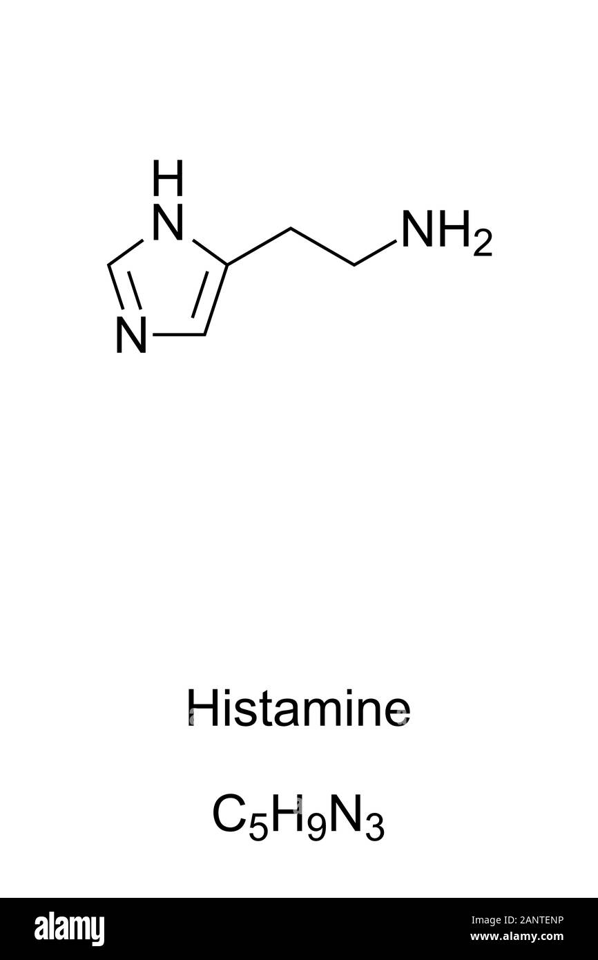 Histamine molecule, skeletal formula. Structure of C5H9N3, is acting as neurotransmitter in the brain and is involved in the inflammatory response. Stock Photo