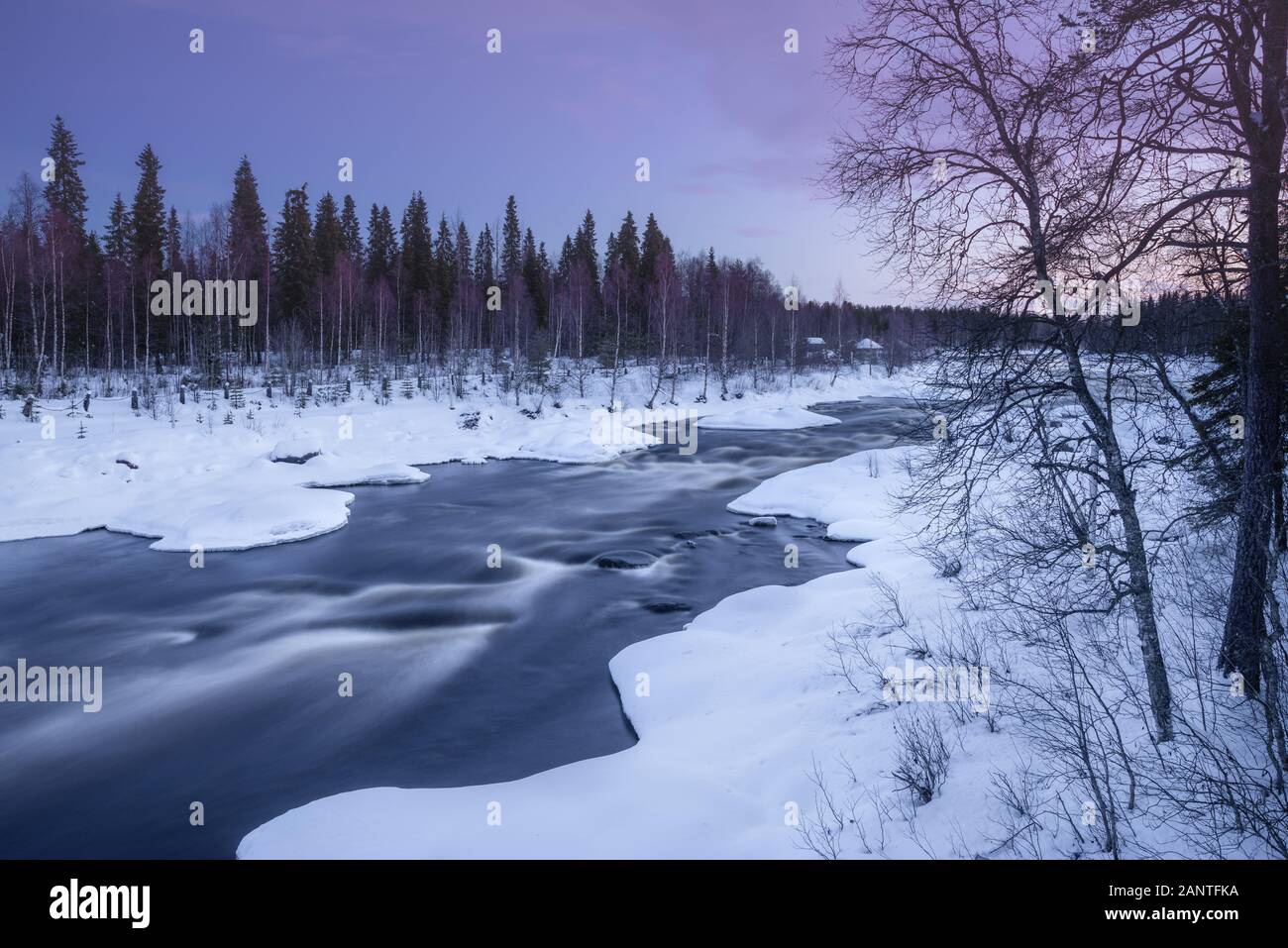 A dark river winds through a snowy artic landscape. Purple colours of polar winter are seen though the trees on the horizon Stock Photo