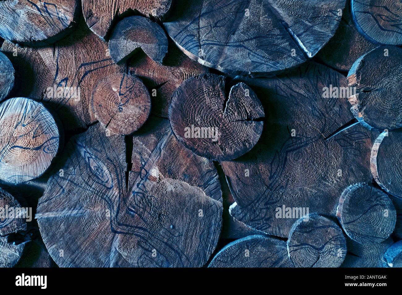Teak wood veneer tree background hi-res stock photography and images ...