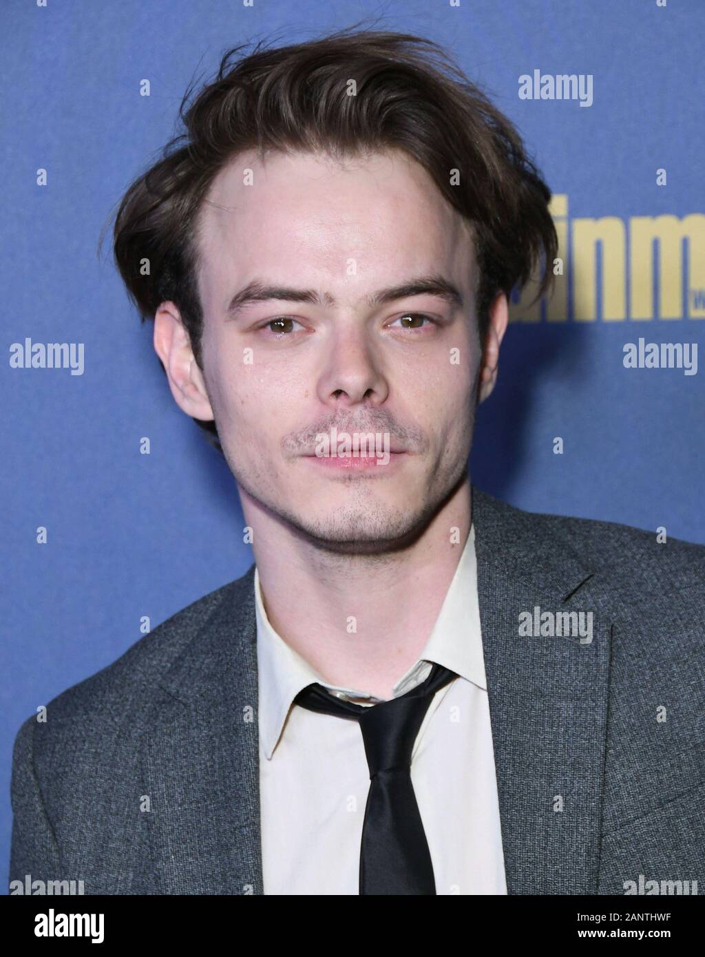 Hollywood, USA. 18th Jan, 2020. 18January 2020 - West Hollywood, California - Charlie Heaton. Entertainment Weekly Pre-SAG Awards Celebration 2020 held at Chateau Marmont. Photo Credit: Birdie Thompson/AdMedia /MediaPunch Credit: MediaPunch Inc/Alamy Live News Stock Photo