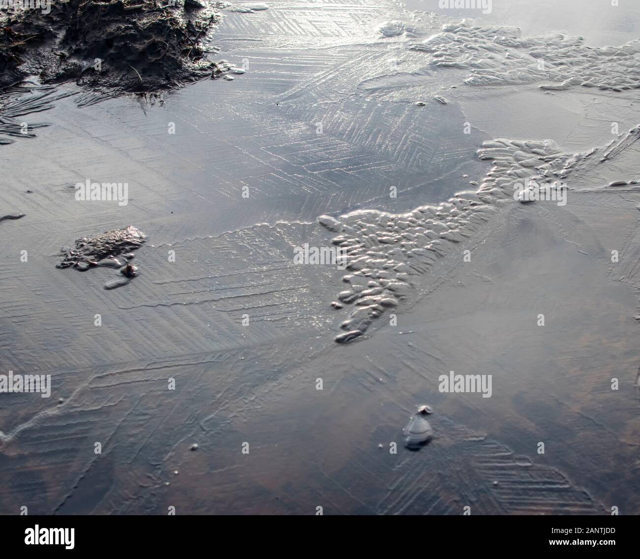 SCIENCE, PHYSICS, ICE, thin layer of ice crystals on a pond Stock Photo ...